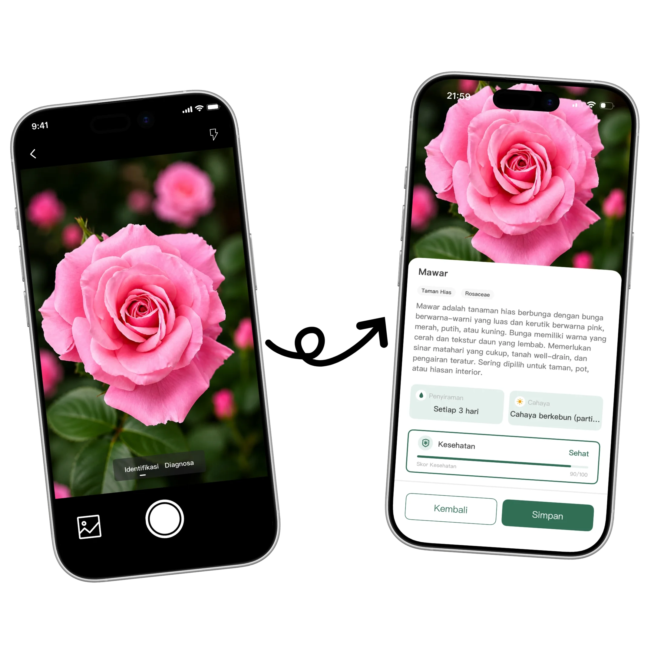 Plant AI App Hero Image